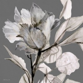 Floral in Gray 2 - Cuadrostock
