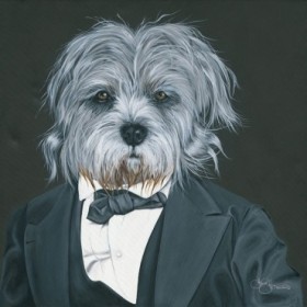 Dog in Suit - Cuadrostock