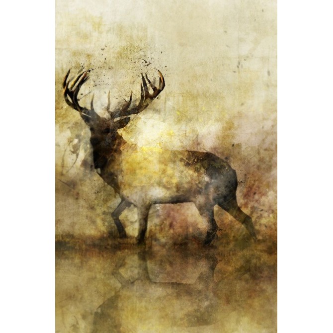 Calm Deer II - Cuadrostock