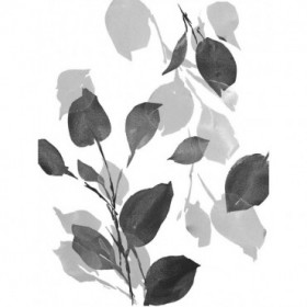 Gray Simple Leaves - Cuadrostock