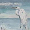 Great Egret Standing - Cuadrostock