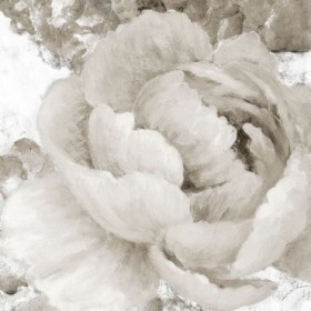 Light Grey Flowers II - Cuadrostock