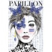 Papillon - Cuadrostock