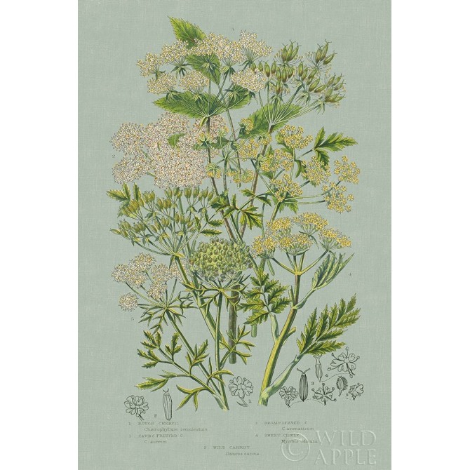 Flowering Plants III Green Linen - Cuadrostock