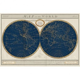Torkingtons World Map Indigo Globes - Cuadrostock