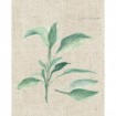 Sage II on Burlap - Cuadrostock