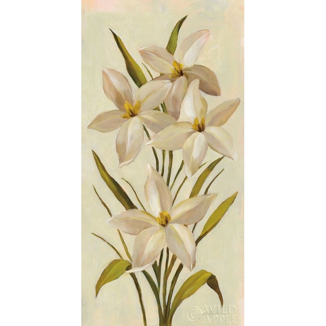 Elegant White Florals II - Cuadrostock