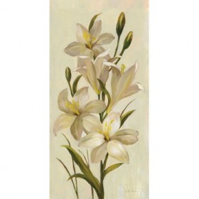 Elegant White Florals I - Cuadrostock