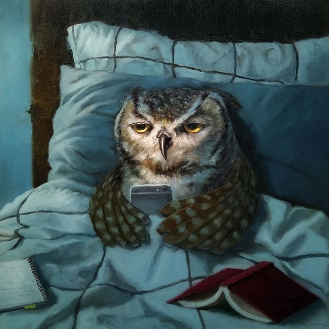 Night Owl - Cuadrostock