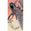 Two Peacocks on Tree Branch - Cuadrostock