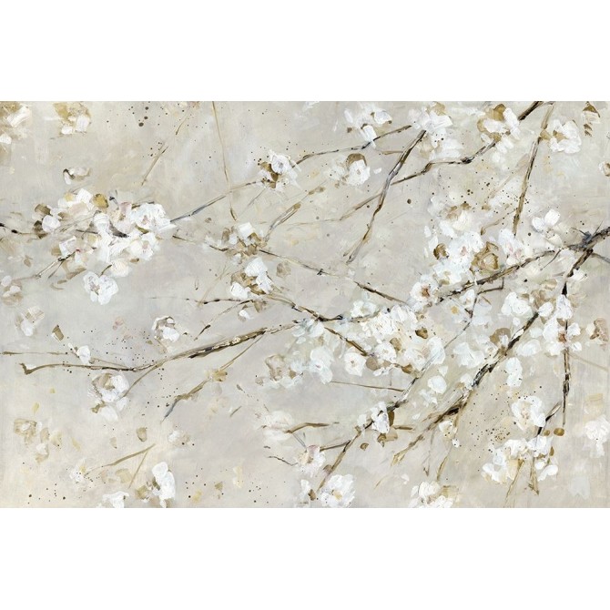 Blossom Confetti - Cuadrostock