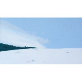 Snowy Field - Cuadrostock