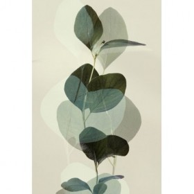 Green Leaves 8 - Cuadrostock