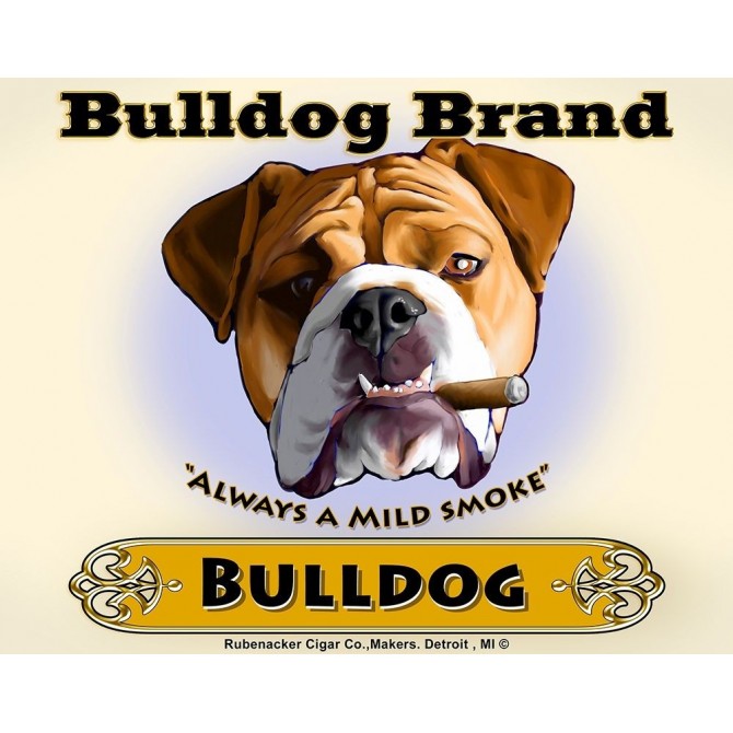 Bulldog Cigar - Cuadrostock