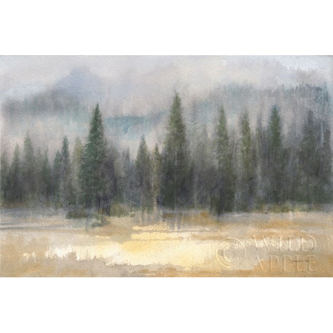 Misty Pines - Cuadrostock