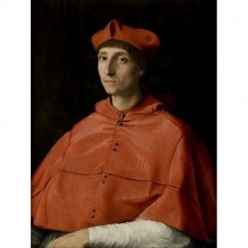 Portrait of a Cardinal - Cuadrostock