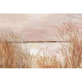 Golden Pink Beach  - Cuadrostock
