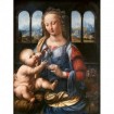 Madonna of the Carnation - Cuadrostock