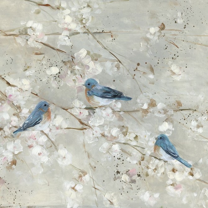 Blue Bird Melody - Cuadrostock