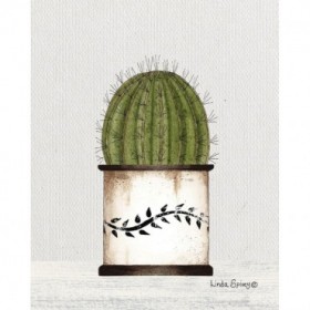 Round Cactus - Cuadrostock