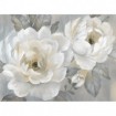 Perfect Peonies - Cuadrostock