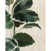 Tropical Study I Linen - Cuadrostock