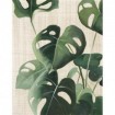 Tropical Study IV Linen - Cuadrostock