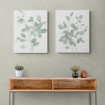 Juego de 2 cuadros decorativos de plantas - Cuadrostock