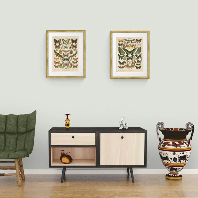 Conjunto de 2 cuadros con marco dorado y láminas vintage de mariposas - Cuadrostock