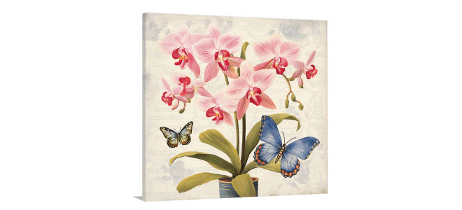 Canvas of Flowers and Butterflies